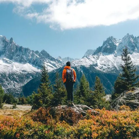 Majestic 1 - Haven Mont Blanc Daire Chamonix