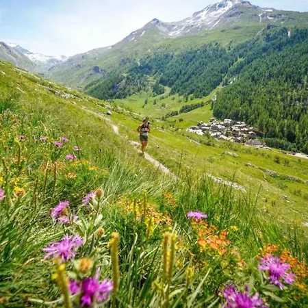 Apartment Majestic 1 - Haven Mont Blanc *
