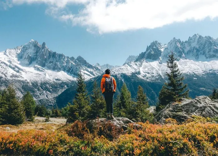 Majestic 1 - Haven Mont Blanc Appartement Chamonix